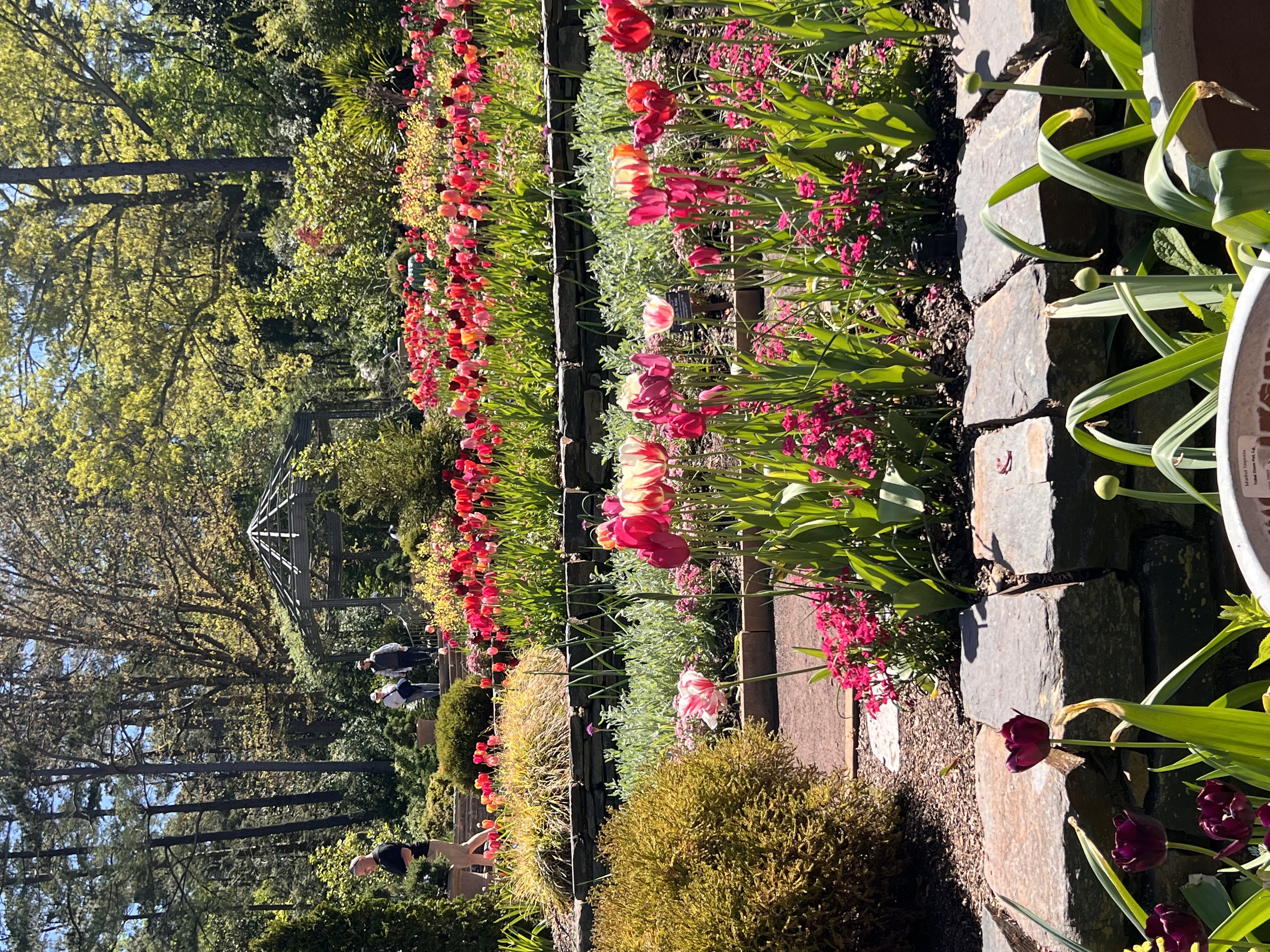 ./2023/05 - Toni Adventures/IMG_3209.JPG